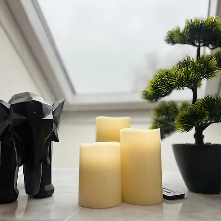 Am Grossen Garten * 드레스덴