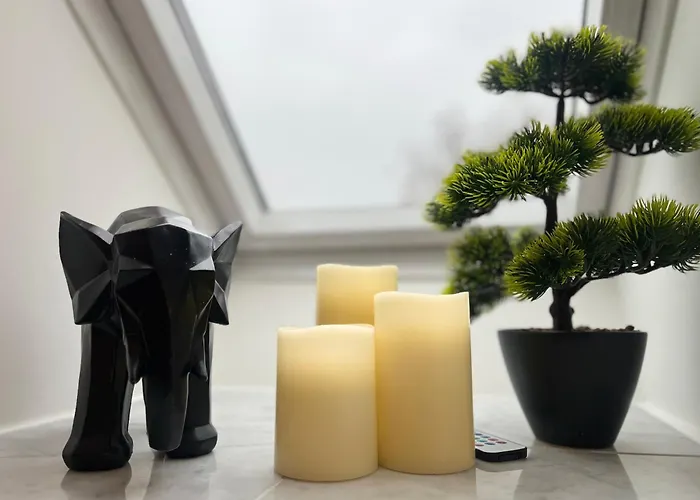 Am Grossen Garten * 드레스덴